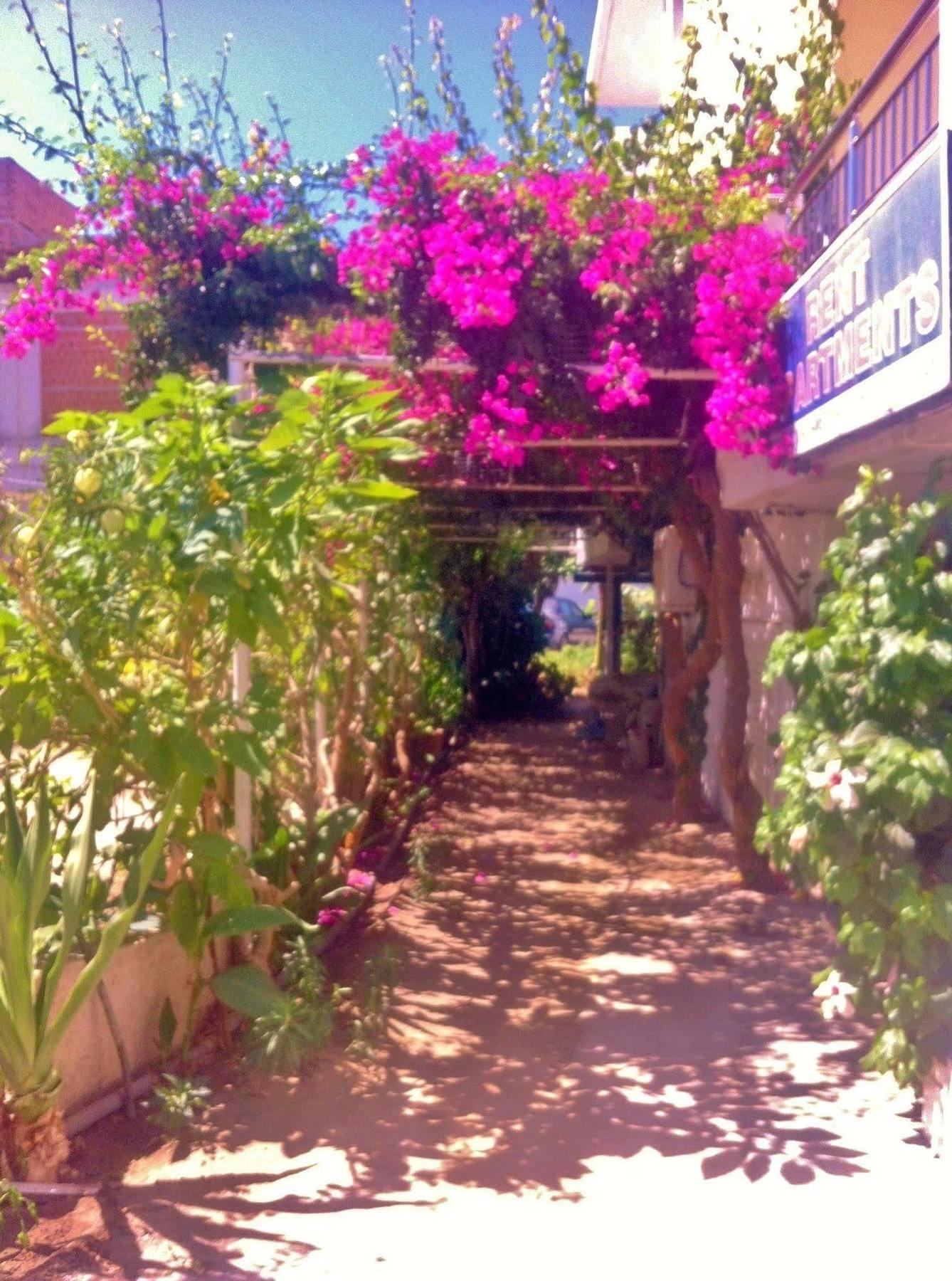 אגיה פלגיה קיתירה Apollonia Apartments מראה חיצוני תמונה